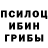 Галлюциногенные грибы Psilocybine cubensis srb023