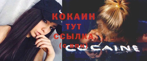 соль ск Богородицк