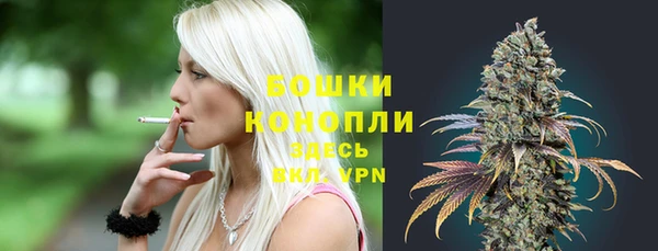 дурь Бородино