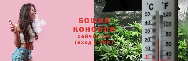 соль ск Богородицк