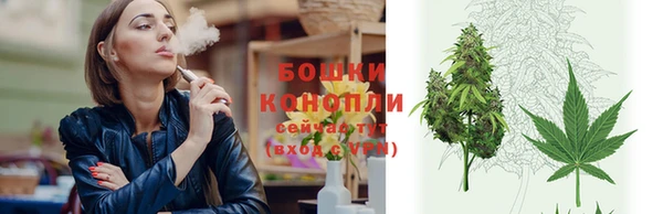 ешки Богданович