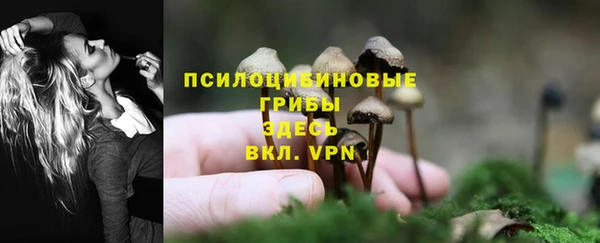 амф Бронницы