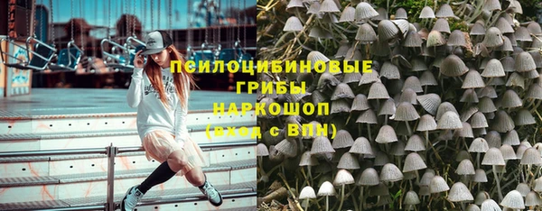 ешки Богданович