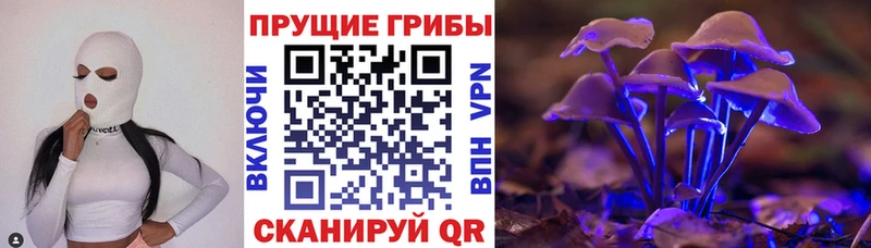 Псилоцибиновые грибы Psilocybine cubensis  OMG ссылки  даркнет как зайти  Верещагино 